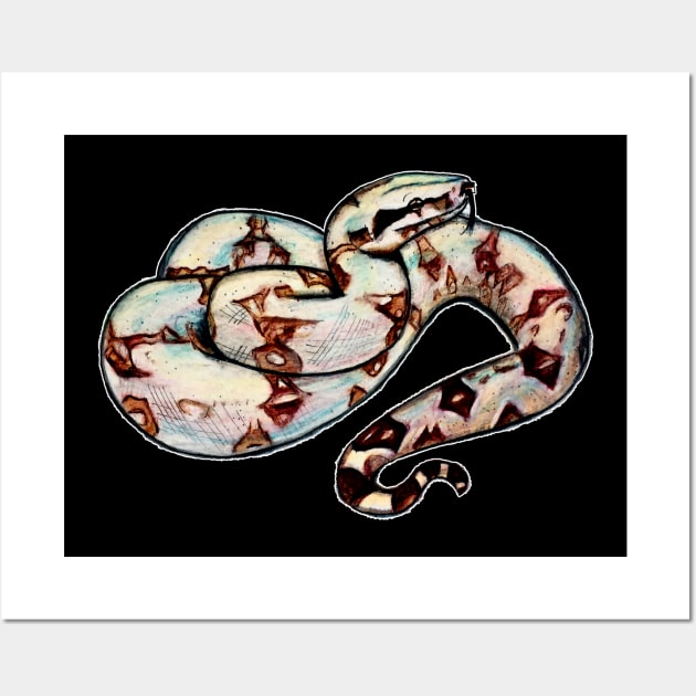 Red tail Boa Wall Art by Brandy Devoid special edition collecion